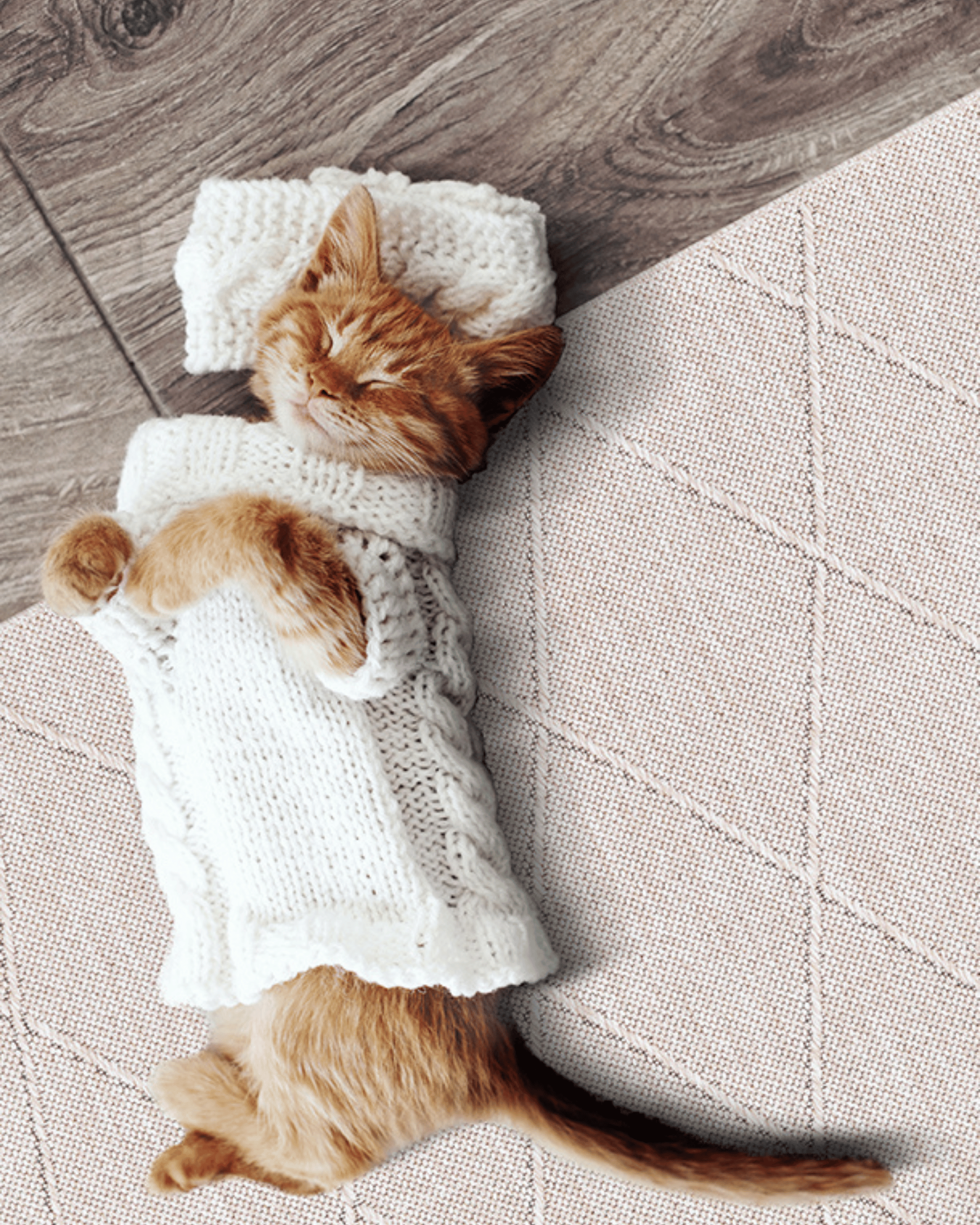Comfy Halı Mina 05 Bej Makinede Yıkanabilir Kaymaz Taban Şönil Kilim